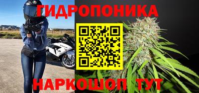 гидра Краснокаменск