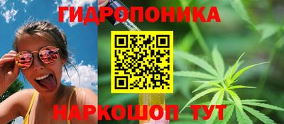 бошки Краснознаменск