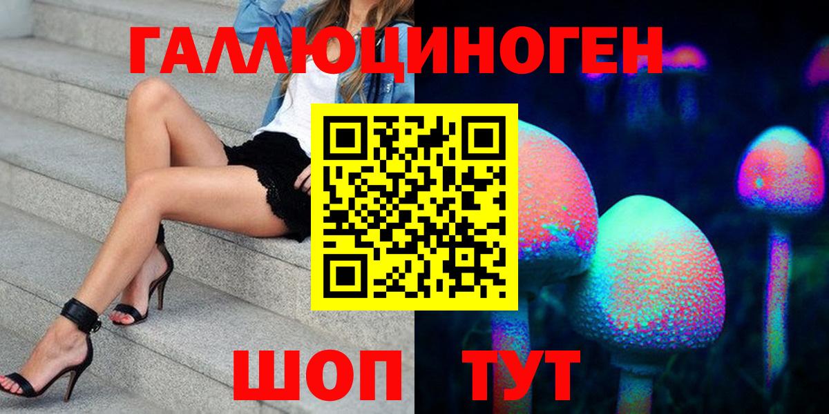 Галлюциногенные грибы Psilocybine cubensis Железногорск