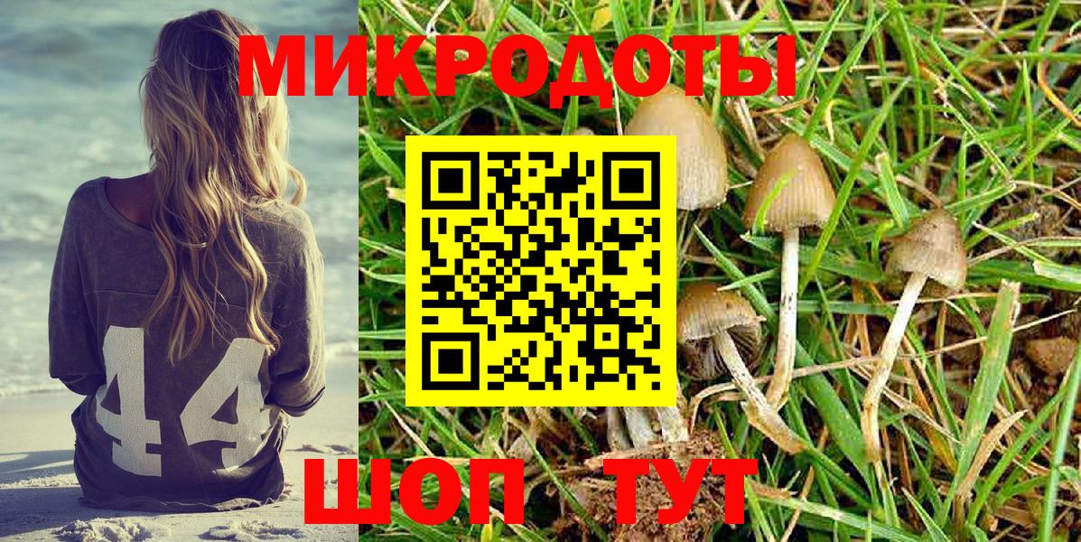 Железногорск  Псилоцибиновые грибы Cubensis  Вход с VPN 